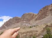 Stage Vision Sans Tête