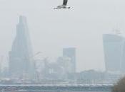 Londres plus polluée Pékin