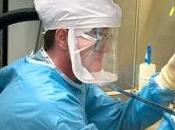 H1N1: virus invincible développé laboratoire