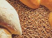 Alsépi, filière pain 100% alsacien lance site internet
