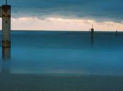 Galerie l’ARBRE exposition Lamiel PENOT Chédigny