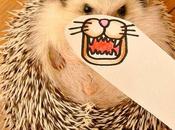 Marutaro hérisson plus célèbre