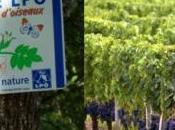 domaine viticole bordelais devient Refuge pour protéger biodiversité