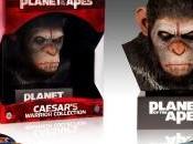 buste collector pour planète singes