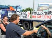 Rochelle nouvelle manifestation conchyliculteurs mardi juillet