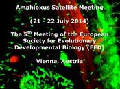 Vienna 2014 Amphioxus Satellite Meeting