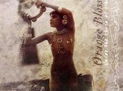 Orange Blossom Under Shade Violets