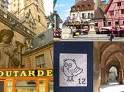 Pays moutarde Dijon! #Voyage