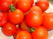 minis cocote clafoutis tomate cerise