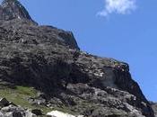 Frôler foule wingsuit