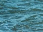 bons réflexes pour recharger batteries vacances… être reste l’année