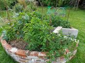 Calendrier lunaire septembre octobre 2014