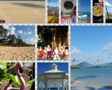 Notre dernière semaine à O'ahu