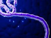 nouveau virus "Ebola" conception diabolique pour détruire l'espèce humaine... enrichir certains laboratoires américains