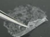 BRÛLURE: nouveau film nano pour bloquer l'infection Advanced Materials