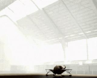 Échecs : Classement Elo Fide au 01-09-2014