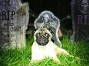 RIP: L'iPod Classic n'est plus...