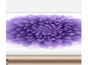 iPhone Plus précommande disponible chez Apple