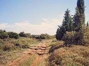 Promenade hauteurs Roquemaure