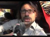 Laissons leur peau animaux