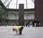 ballade monumentale avec Richard Serra
