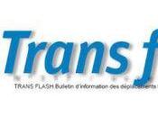 Trans flash