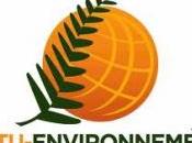 transition énergétique entre révolution objectifs adaptation moyens (Chronique Actu-Environnement)