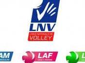 rentrée 2014 volley-ball français!