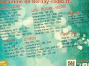 Grilles programmes Bernay-radio.fr…