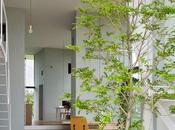 Japon arbre dans maison
