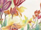 Narcisses tulipes l'aquarelle