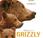 Grizzly, piège l’anthropomorphisme