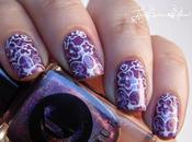 Boudoir double stamping Cirque colors