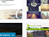 Black Friday Special: Year Unlimited Premium Themes