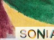 Sonia DELAUNAY couleurs l’abstraction jusqu’au Février 2015