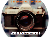 Défi "365 Photos quotidien&amp;quot; 50ème semaine #50/52