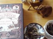 Ping fêtes d'année