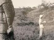 Galerie XINHUA GALLERY Paris rêve Chine