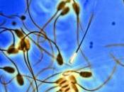 INFERTILITÉ: ovules sperme humains partir cellules souches? Nature Cell