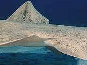 Plongée Canaries formez-vous pour rencontrer Requin Ange îles