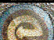 initiatives pour changer monde