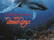 Beach Boys #8-Summer Paradise-1992