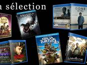 Sorties DVDs Blu-Rays Février 2015