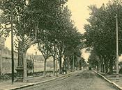 Cènt après Piramido