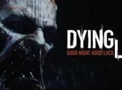 Coup d’Oeil DonPascualino Dying Light