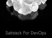 SaltStack DevOps nouveau e-book