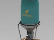 capteurs pour nourrir poissons d’élevage optimiser coûts