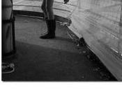 Espace PHILOMUSES Exposition Lorenzo POLEO nonchalances concerts