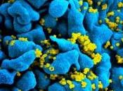 PrEP VIH: Truvada réduit jusqu'à risque d'infection NHS-Medical Research Council