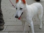 nouvelle venue maison